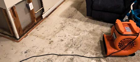 Mold Testing & Inspection in Grand Prairie